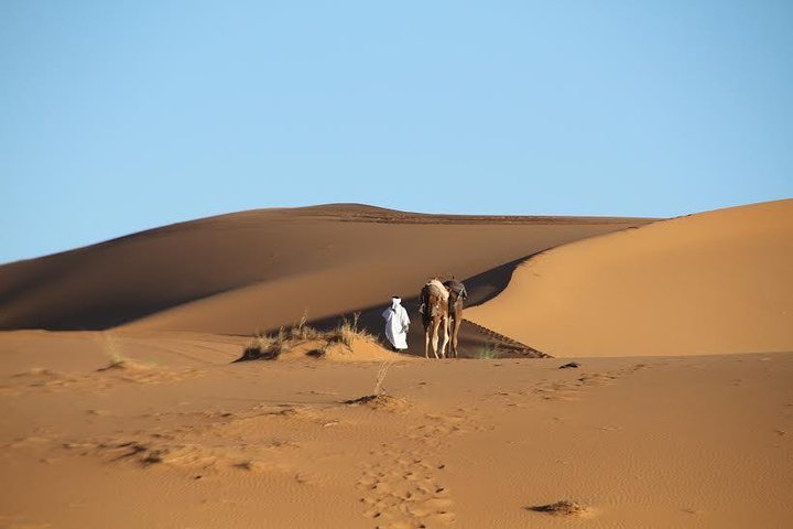 Private 5 Days Trip To Merzouga Desert From Casablanca Via Fez - Image 2