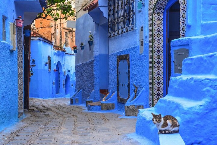 Private 6-Days Tour from Casablanca to Chefchaouen -Fes-Merzouga and Marrakech - Image 2