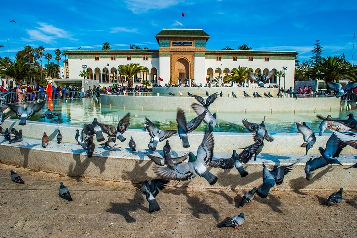 Private and Guided Tour of the City of Casablanca - Image 5