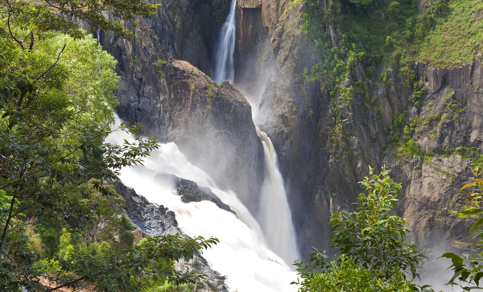 Private Rainforest - Image 1