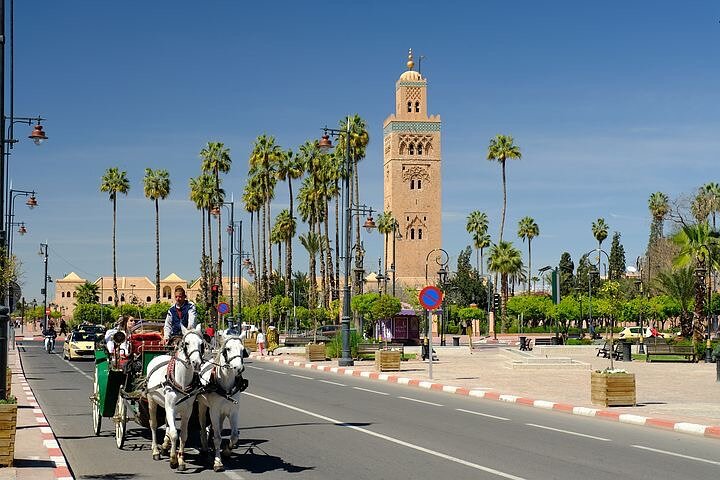 Shore Excursion Guided Tour From Casablanca Port to Marrakech - Image 1
