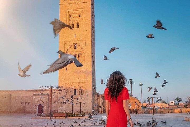 Shore Excursion Guided Tour From Casablanca Port to Marrakech - Image 2