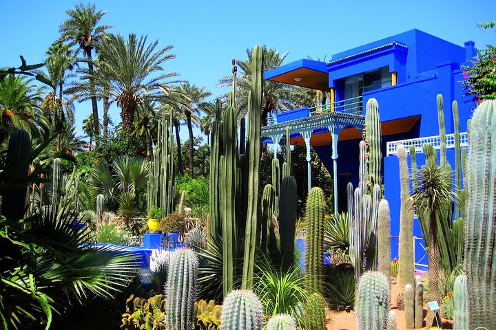The amazing Marrakech day trip from Casablanca - Image 3