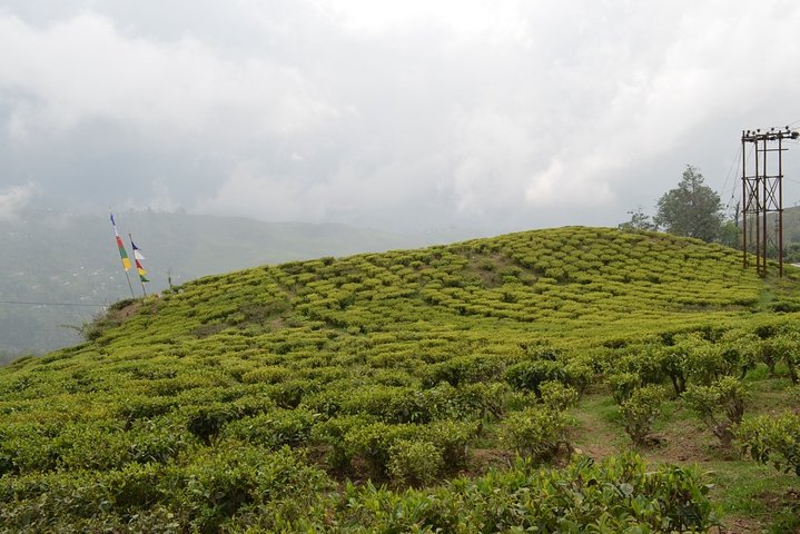 Colonial Cities, Tea Estate, Monasteries & Andaman Island - Image 3