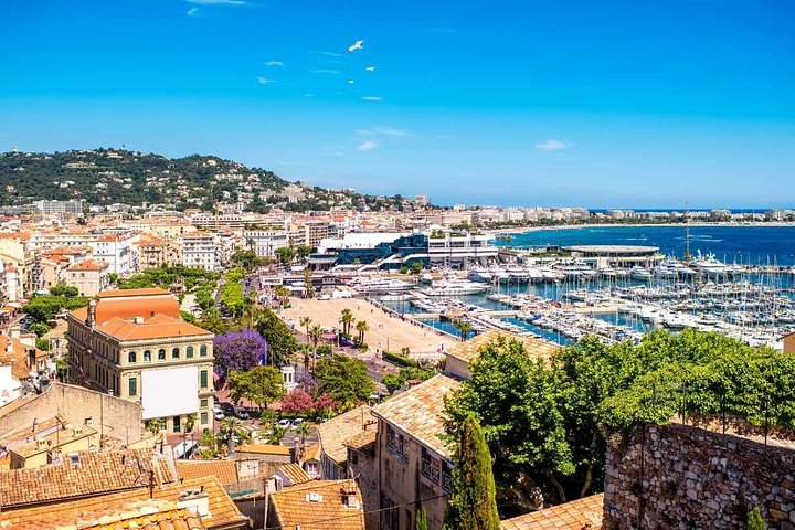 Discover incredible Cannes on private walking tour - Image 1