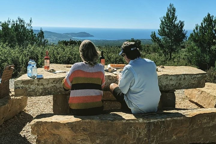 Full-Day Private Custom-Made Cannes Shore Excursion - Image 3