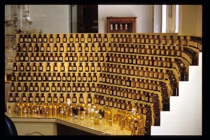In the secret of perfumes and flowers-private tour full day- - Image 1