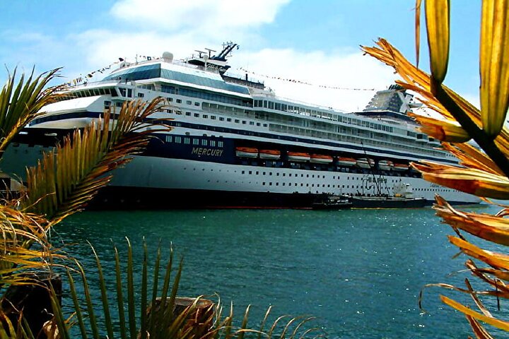Private Customized French Riviera Tour from Port of Cannes 8H - Image 1