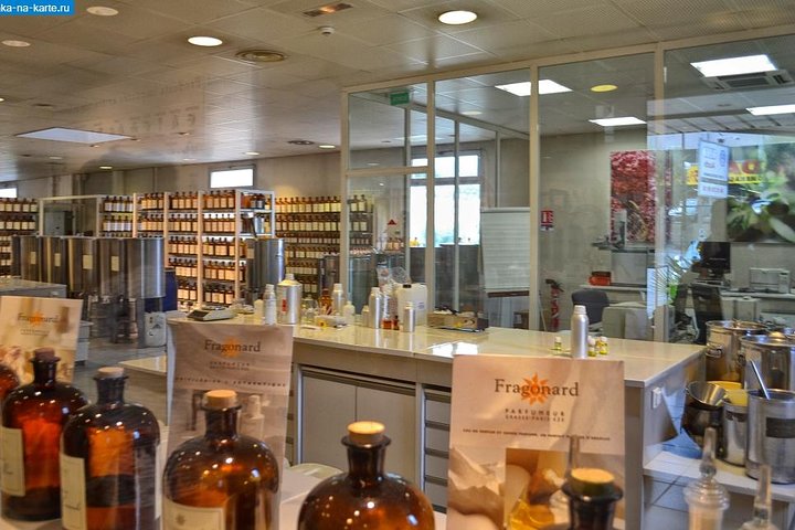 Secrets of winemaking and perfumery on the Côte d'Azur Cannes Shore Excursion - Image 1
