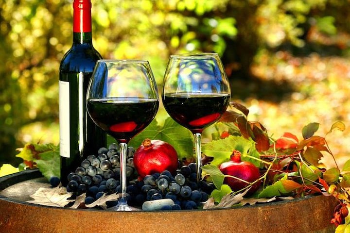 Secrets of winemaking and perfumery on the Côte d'Azur Cannes Shore Excursion - Image 2