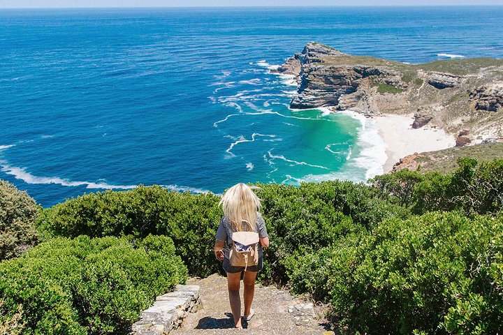 1 day Cape Peninsula and Boulders Tour with Private Transfers - Image 1