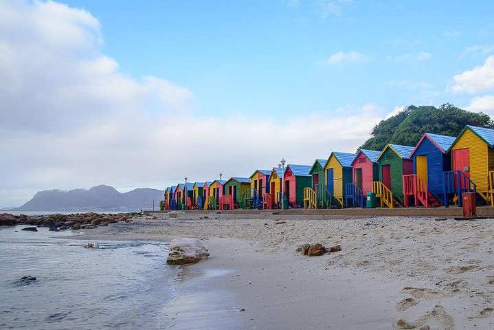 1 day Cape Peninsula and Boulders Tour with Private Transfers - Image 2