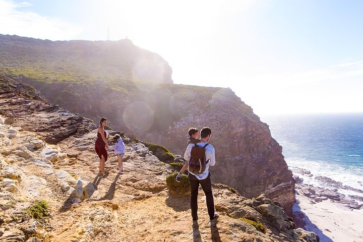 1 day Cape Point and Constantia Wine Tour with Private Transfers - Image 4