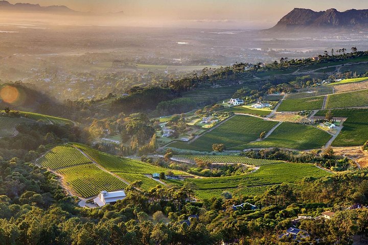 1 day Cape Point and Constantia Wine Tour with Private Transfers - Image 1