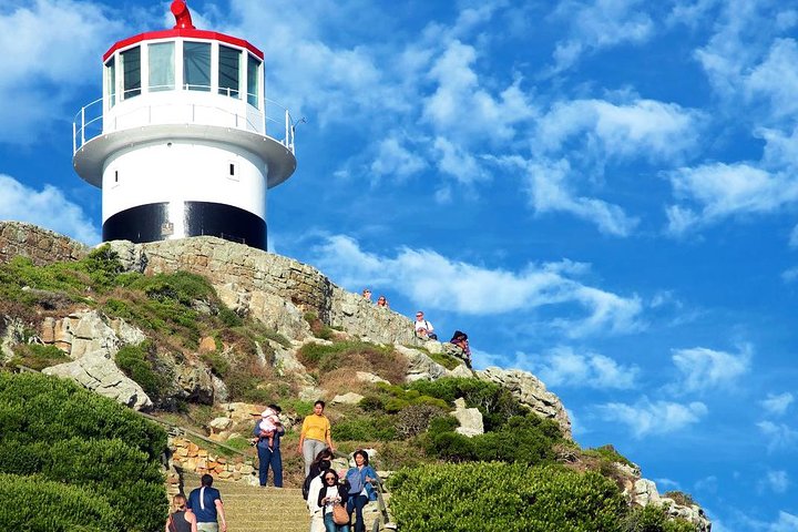 1 day Cape Point Explore with Boulder's Penguins Small Group Tour  - Image 4