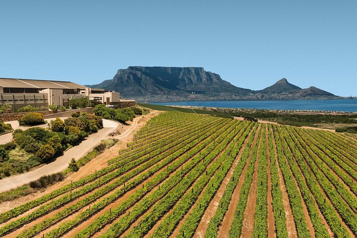 1 Day Durbanville Valley Wine Tasting Tour with Private Transfers - Image 2