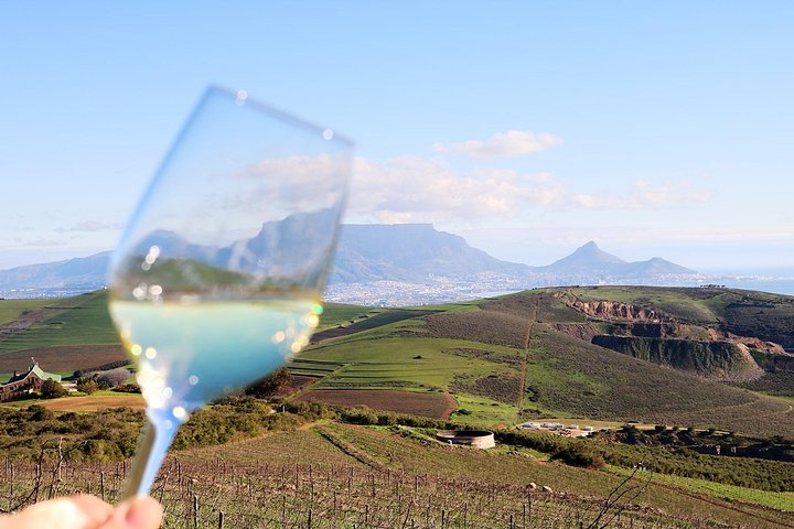 1 Day Durbanville Valley Wine Tasting Tour with Private Transfers - Image 1