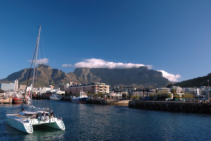 1 Day Explore Cape Town Like a Local with Private Guided Transfer - Image 5