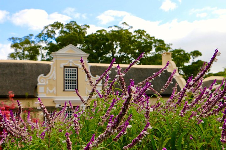 1 Day Helderberg Valley Winelands Tour with Private Transfers - Image 3