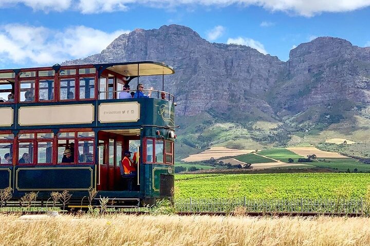 1 day Taste +Tram the Winelands: Franschhoek, Stellenbosch, Paarl - Image 2