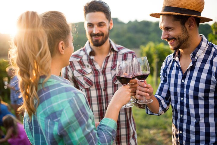 1 day Taste +Tram the Winelands: Franschhoek, Stellenbosch, Paarl - Image 1