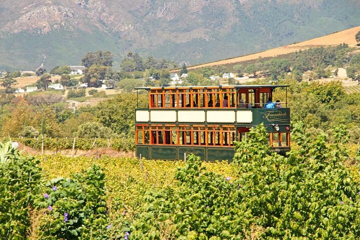 1 day Taste +Tram the Winelands: Franschhoek, Stellenbosch, Paarl - Image 5