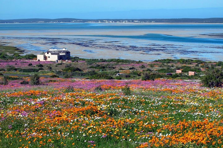 1 Day West Coast Wonders Tour with Private Transfers - Image 5