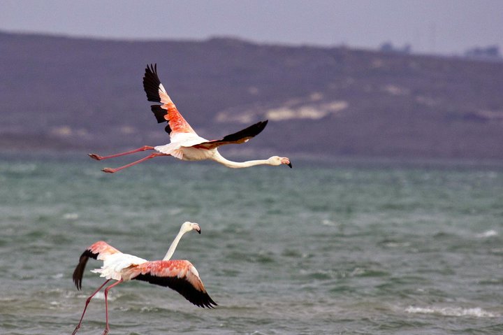 1 Day West Coast Wonders Tour with Private Transfers - Image 2
