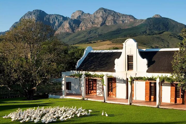 1 day Winelands Explore of Stellenbosch Franschhoek Paarl Regions - Image 5