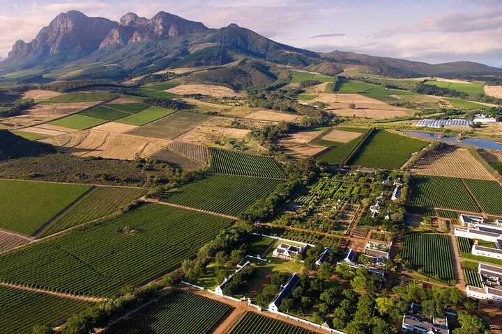 1 day Winelands Explore of Stellenbosch Franschhoek Paarl Regions - Image 3