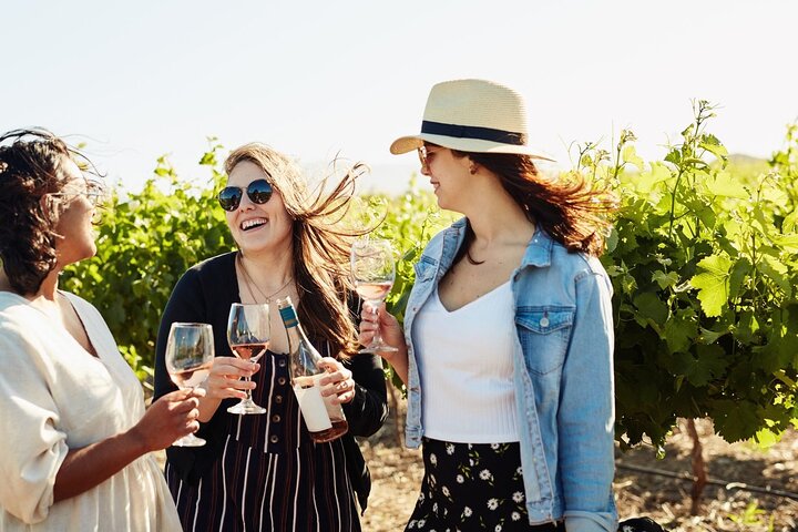 1 day Winelands Explore of Stellenbosch Franschhoek Paarl Regions - Image 1