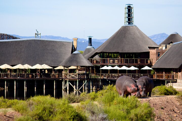 2-Day Buffelsdrift Game Lodge Safari with Cango Caves Shared Tour - Image 1