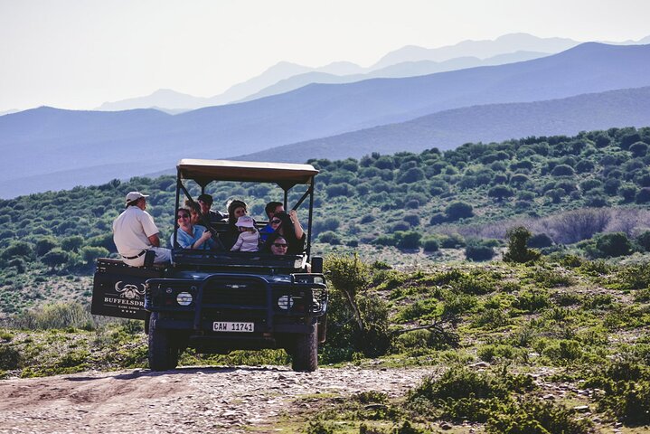 2 Day Small Group Garden Route Big 5 Safari Tour from Cape Town - Image 1