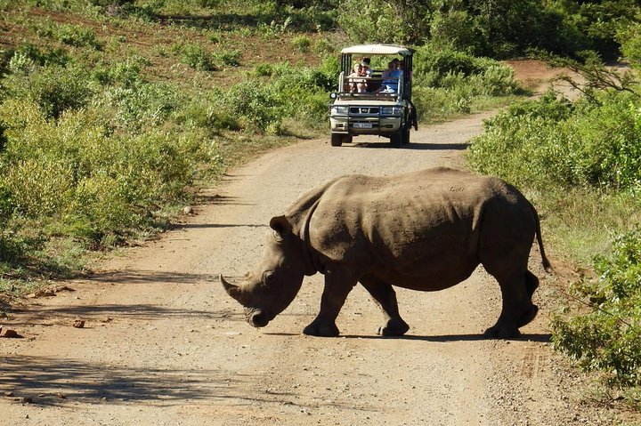 2 Day South African Wildlife Safari Tour: See most of Big 5 in the Western Cape - Image 2