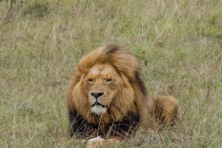 3 Day Best of Garden Route Highlights with Safari from Cape Town - Image 2