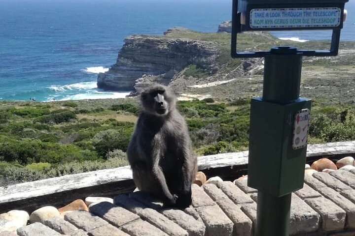 3 Day Private Full Day Cape Town Tour Includes Entries,Peninsula,Wine,City Tour, - Image 2