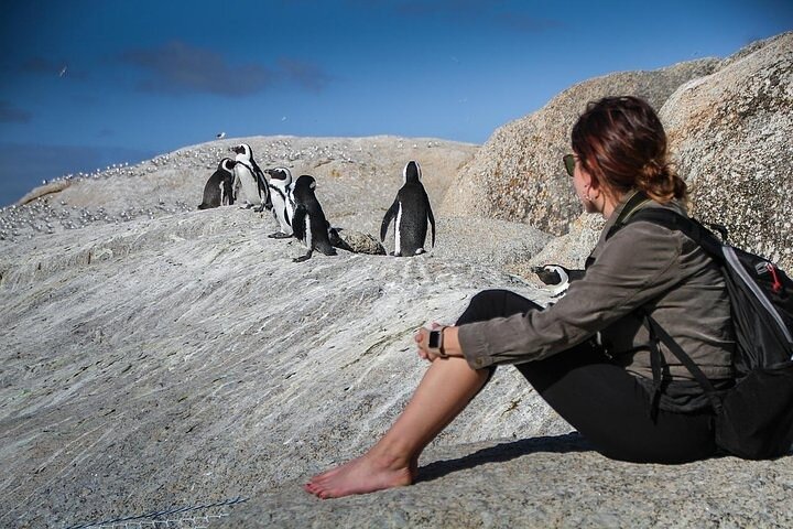 3-Day Private Guided Tour to Cape Town Top Attractions - Image 5