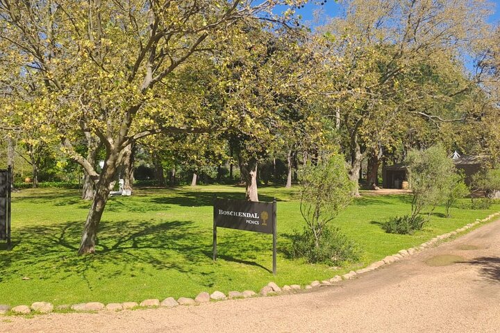 3 Day tour: Cape Town, Table Mountain, Cape Peninsula, Winelands  - Image 5