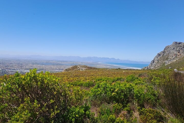 3 Day tour: Cape Town, Table Mountain, Cape Peninsula, Winelands  - Image 2