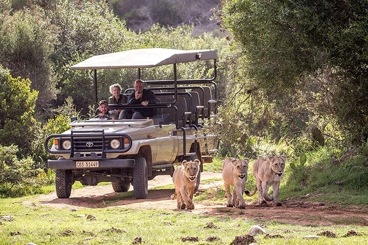 3 Days 2 Nights Garden Route Private Tour from Cape Town - Image 1