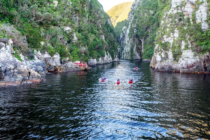 3 Days 2 Nights Garden Route Private Tour from Cape Town - Image 4