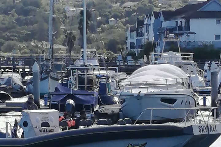 3 Nights 4 Days Private Full Day Garden Route Tour Vehicle and Guide only - Image 2
