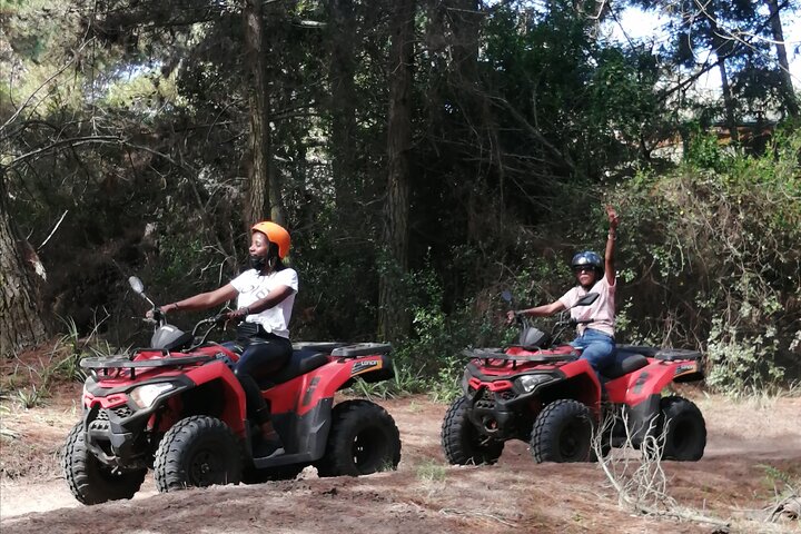 3 Nights 4 Days Private Full Day Garden Route Tour Vehicle and Guide only - Image 4