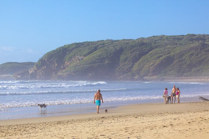 4 Day Garden Route & Addo National Park Tour from Cape Town - Image 5