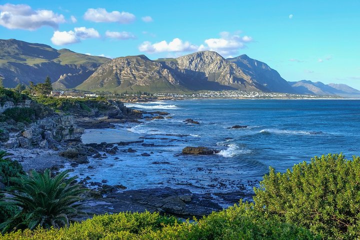 4 Day Garden Route & Addo National Park Tour from Cape Town - Image 1