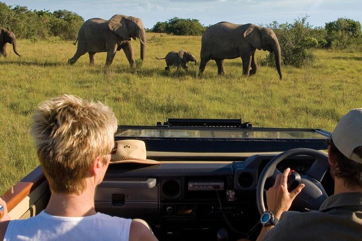 4 Day Garden Route Luxe Selection Micro Group Tour from Cape Town - Image 1
