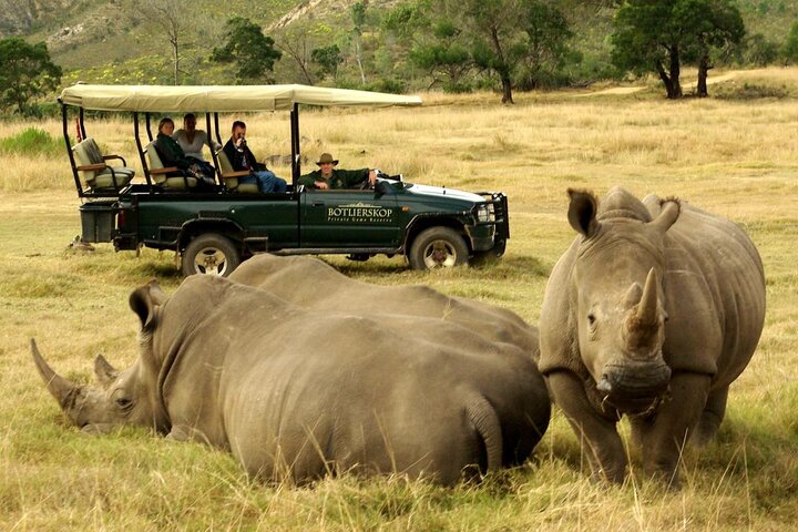 4 Day Garden Route Luxe Selection Micro Group Tour from Cape Town - Image 3