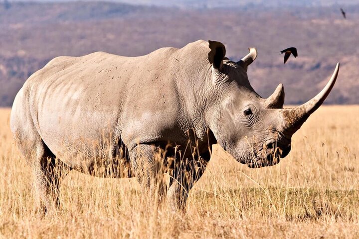 4 Day Garden Route Small Group Tour Fr CapeTown - Departs Mondays - Image 2