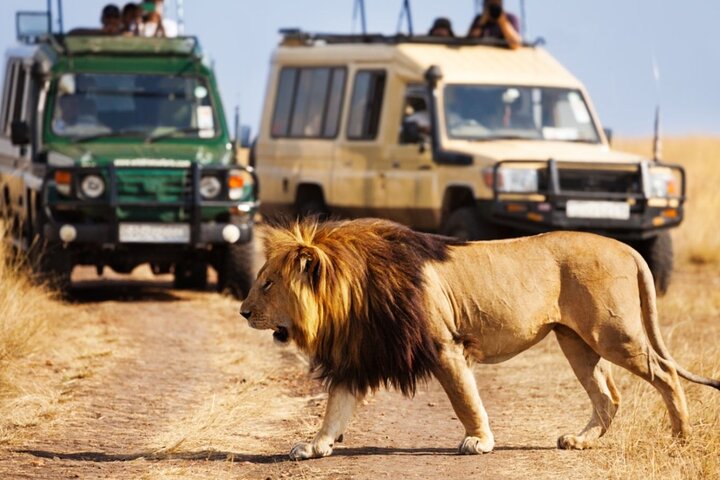 4 Day Garden Route Small Group Tour Fr CapeTown - Departs Mondays - Image 5
