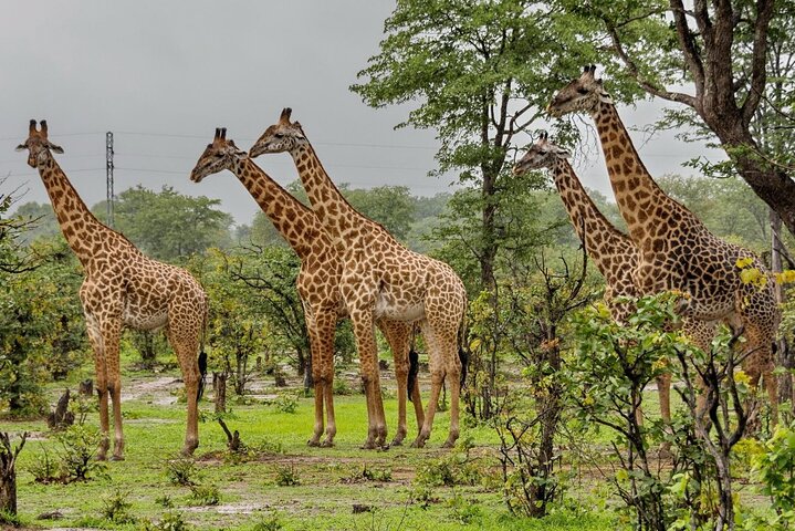 4 Day Garden Route Small Group Tour Fr CapeTown - Departs Mondays - Image 1